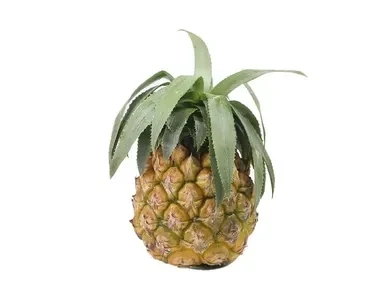 Pineapple-আনারস